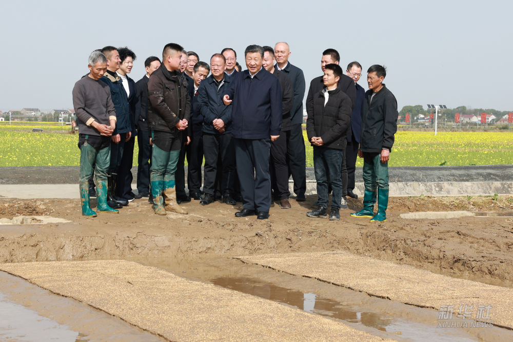 在湖南常德市考察调研7