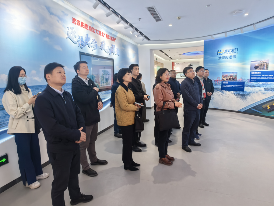 年轻干部二班赴阳逻港开展现场教学1