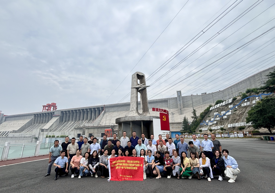 图片8