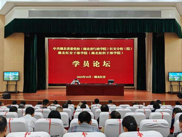 图片11