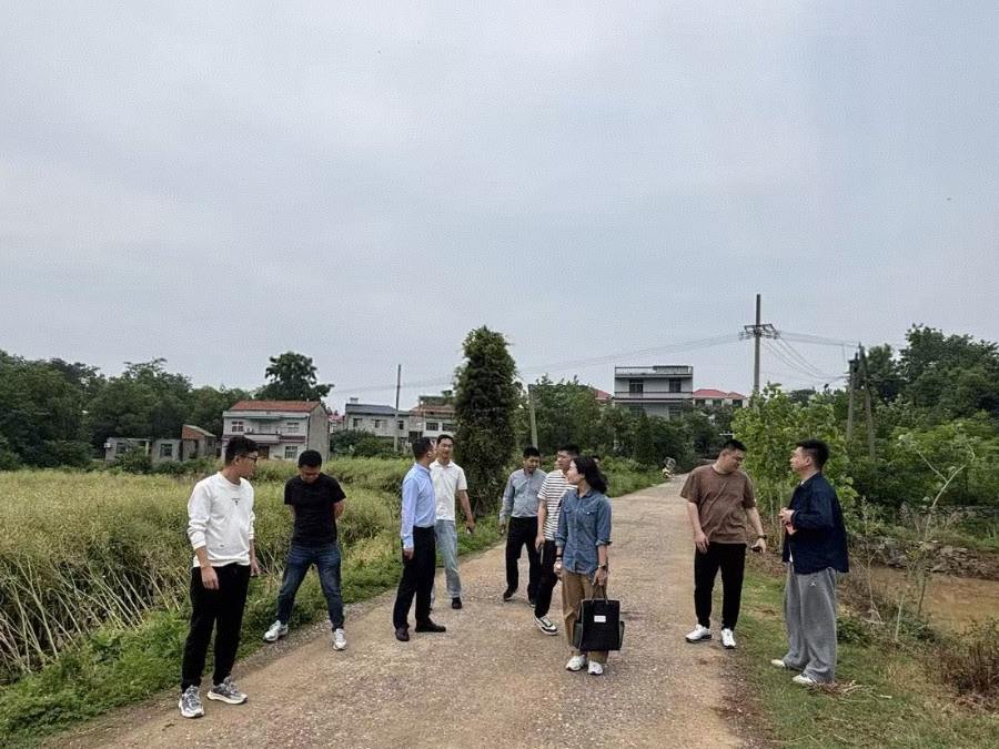 图片3